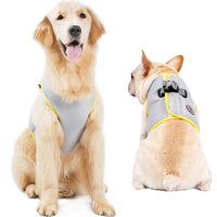 Summer Cooling Dog Harness