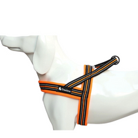 Fully Reflective No Pull Harness