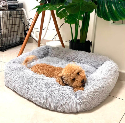 Anti- Anxiety / Calming Dog Bed Square