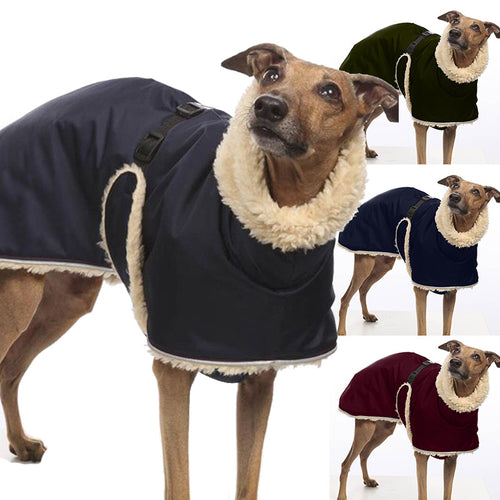 Whippet Greyhound/ Large Dogs Fleece Lined Dog Jacket