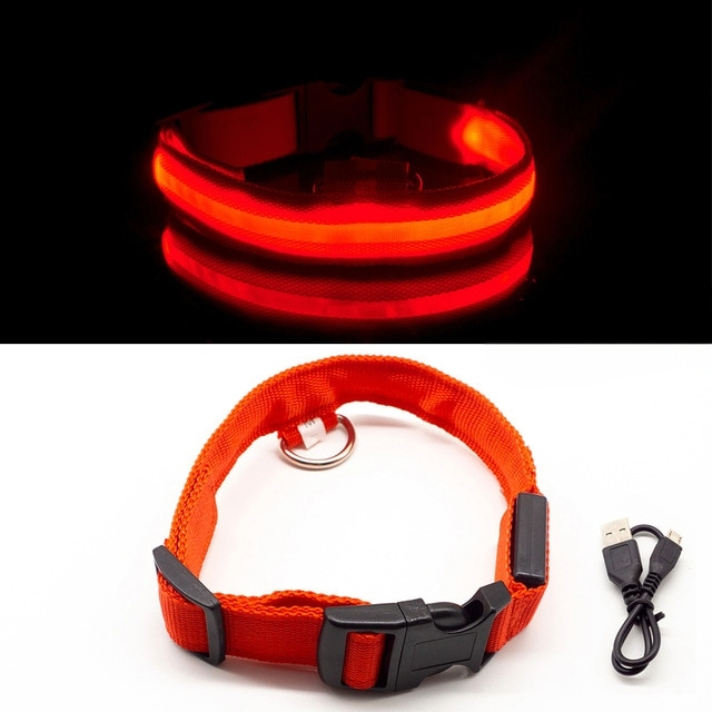Rechargeable LED Dog Collar