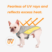 Summer Cooling Dog Jacket / Vest