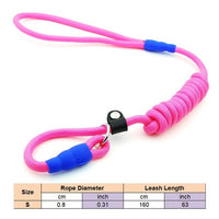 Pawfect4Pets Slip Lead