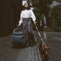 Luxury Dog Car Booster Seat and Bed