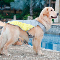 Summer Cooling Dog Jacket / Vest
