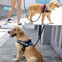 Personalised No Pull Dog Harness