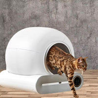 Pawfetch Self Cleaning Cat Litter Robot