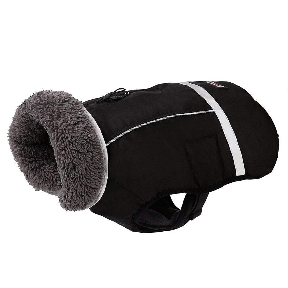 Pawfetch Waterproof Winter Jacket with Adjustable Chest