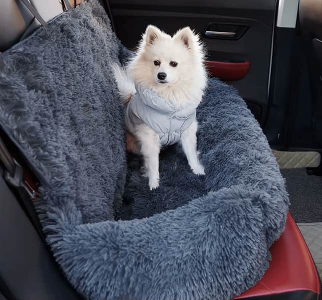 A Calm, Secure Ride for Everyone on Board