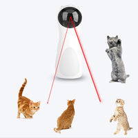 Interactive Cat Laser Pointer