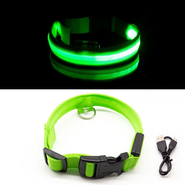 Rechargeable LED Dog Collar