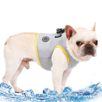 Summer Cooling Dog Harness
