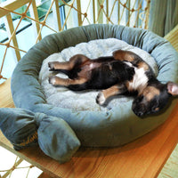 Donut Bow Pet Bed