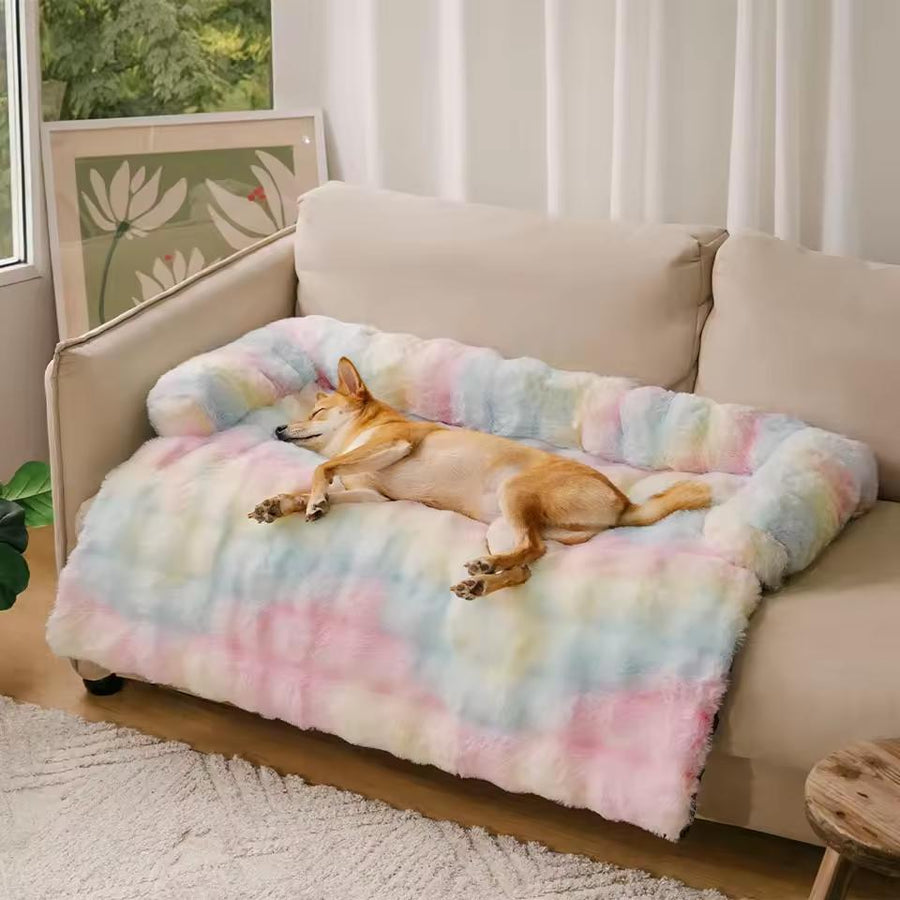 More Than Just a Pet Accessory