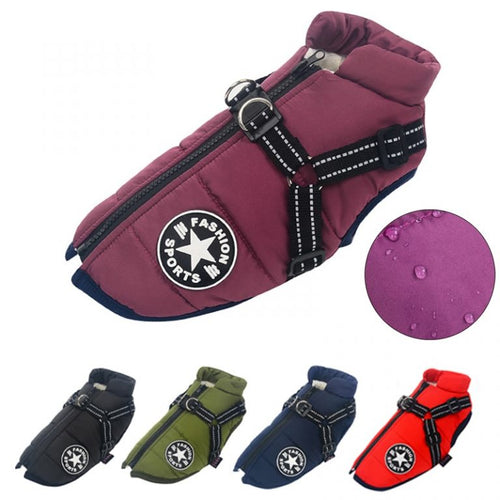 Waterproof Dog Jacket with Harness