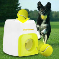 Automatic Dog Ball Fetch & Treat