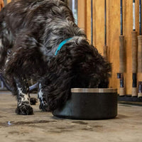 Heavy Duty Dog Bowl Non Slip Stainless Steel 32oz