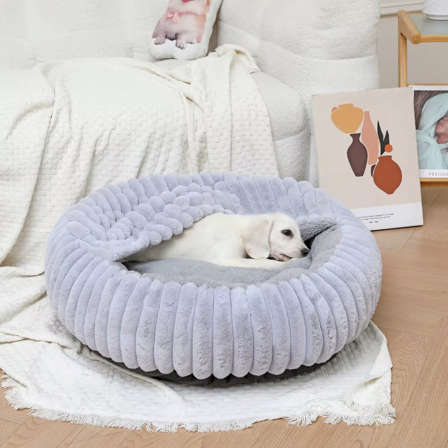 Give your puppy the luxury and comfort they deserve