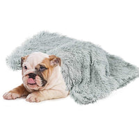 Pawfect4Pets Comfy Dog Blanket