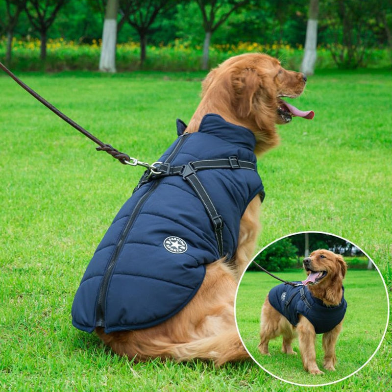 The Pawfect Answer to Cold, Wet Winter Walks!