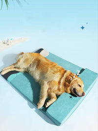 Ocean Breeze Orthopaedic Cooling Summer Dog Bed