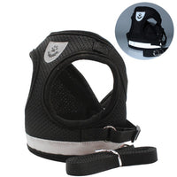Pawfect4Pets Cat Harness and Leash Set