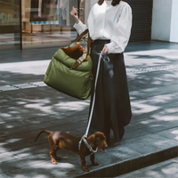 Luxury Dog Car Booster Seat and Bed