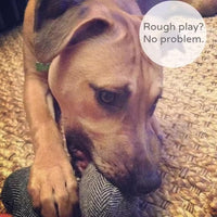 Personalised Dog Bone Toy