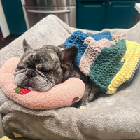 Anti Anxiety Dog/ Cat Pillow