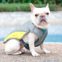 Summer Cooling Dog Jacket / Vest