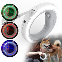 LED Smart Dog Lead