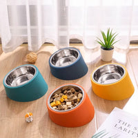 Pawfetch Tilted Mess Free Dog Bowl