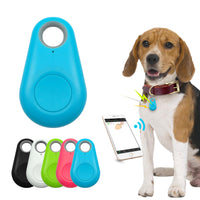 Pet Tracker Tag