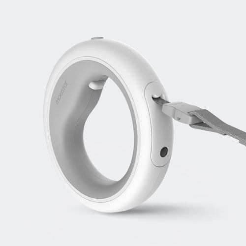 LED Smart Dog Lead