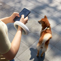 LED Smart Dog Lead