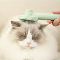 One Click Cat Massage Brush