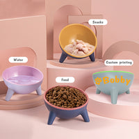 Personalised Anti Vomit Cat Bowl