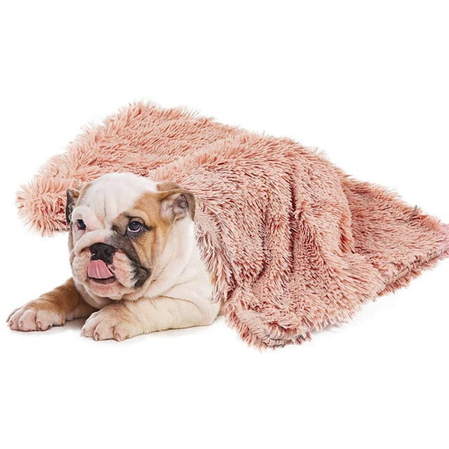 Pawfetch Comfy Dog Blanket