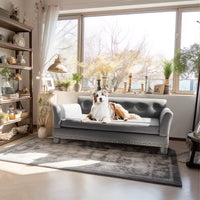 Luxury Leather Elevated Dog Sofa