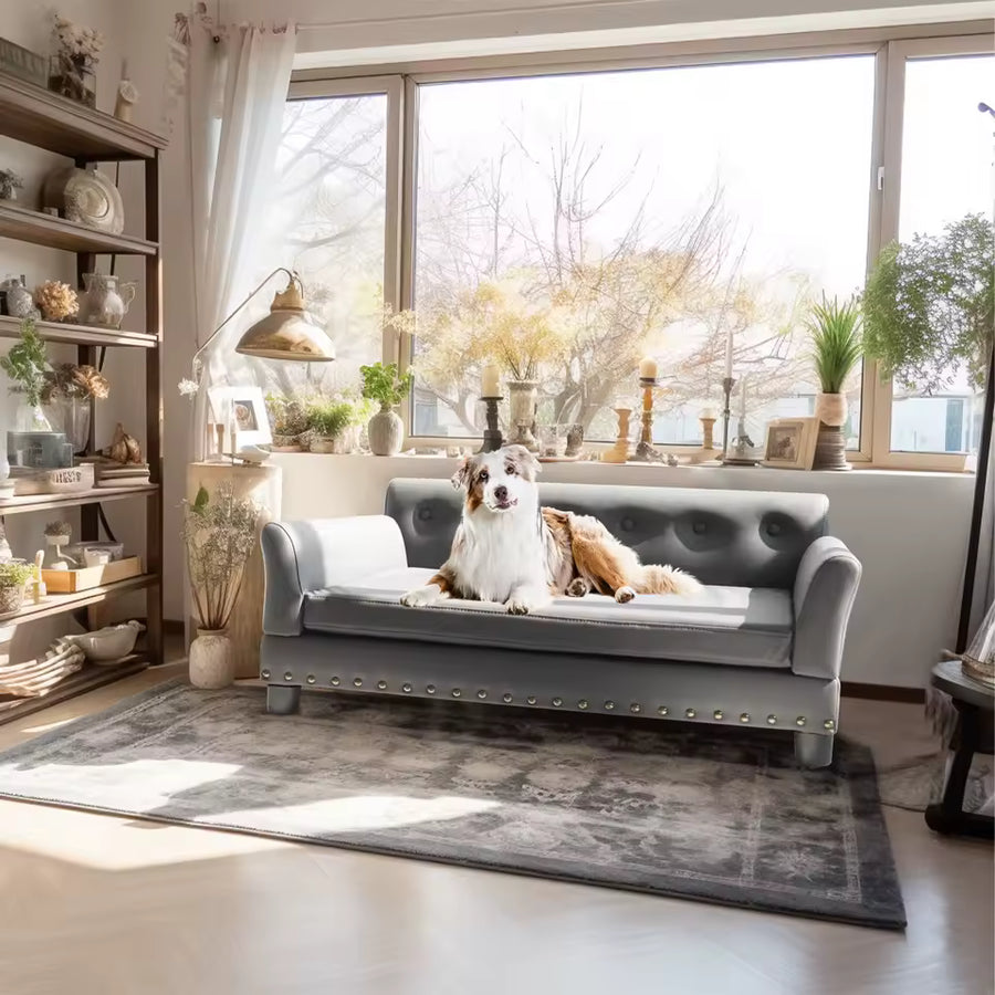 Your Dog Deserves a Seat Worthy of Their Loyalty
