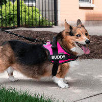 Personalised No Pull Dog Harness