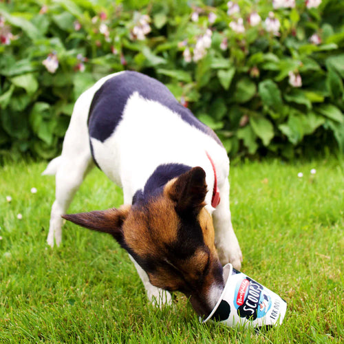 Scoop's Dog Ice Cream - Vanilla