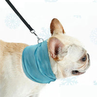 Dog Cooling Bandana