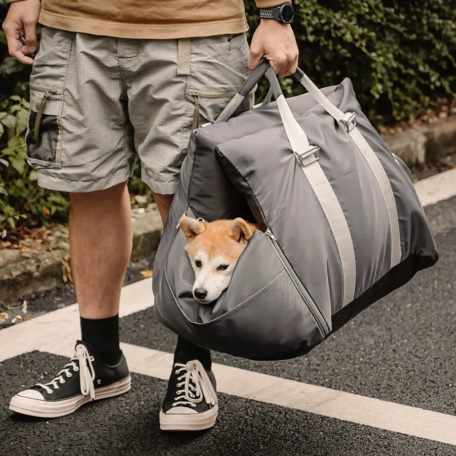 The Pawfect Travel Companion...