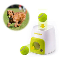 Automatic Dog Ball Fetch & Treat