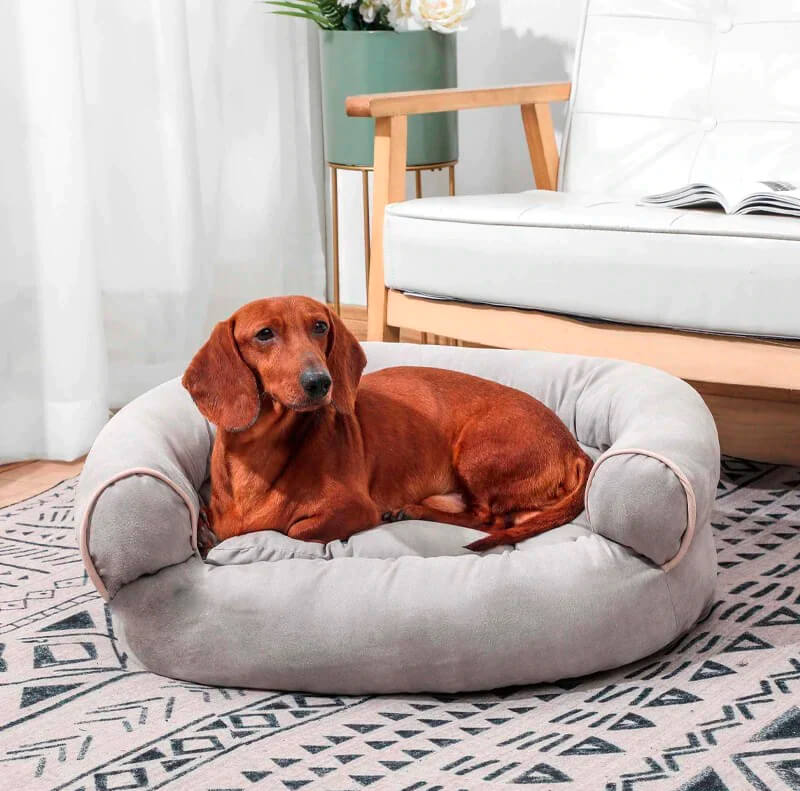Elevate Comfort, Ease Anxiety: Explore the Benefits...