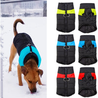 All Seasons Dog Jacket