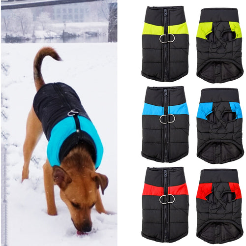 All Seasons Dog Jacket