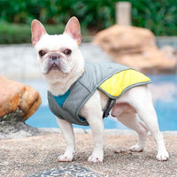 Summer Cooling Dog Jacket / Vest