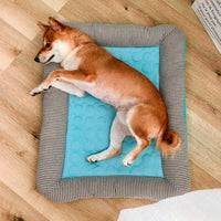 Summer Cooling Dog Mat with Sides